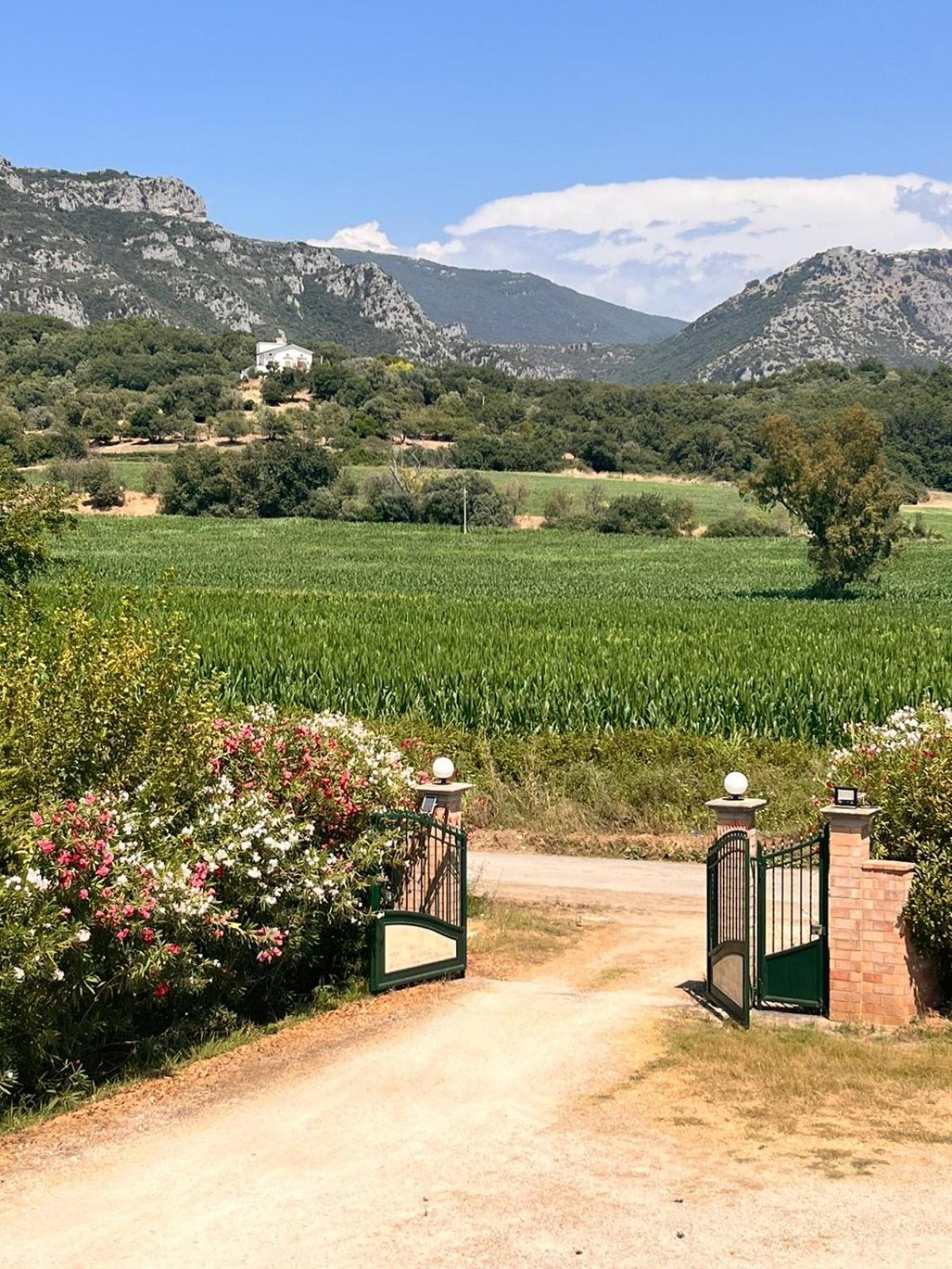 Villa Lia Cilento Capaccio Dış mekan fotoğraf